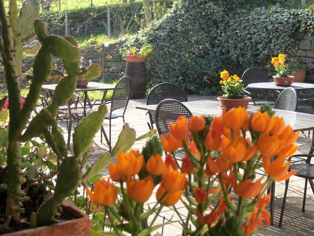 Le Poiane B&B Vacanze San Piero Patti Eksteriør billede