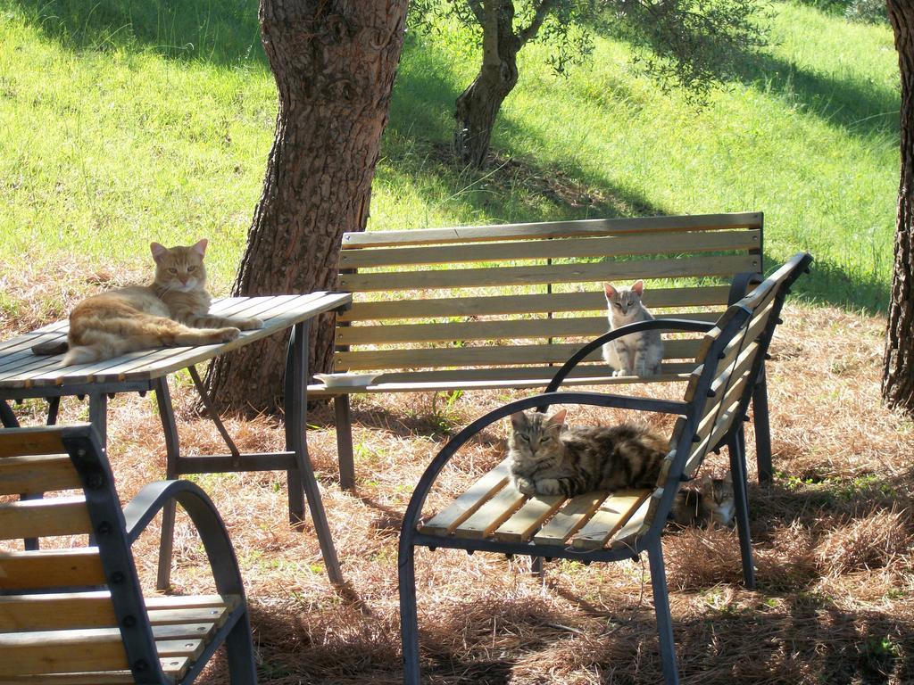 Le Poiane B&B Vacanze San Piero Patti Eksteriør billede